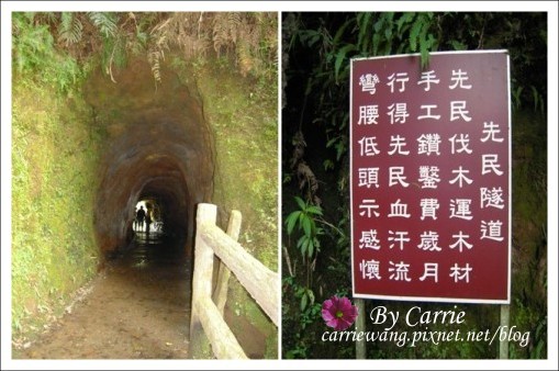 【南投旅遊】杉林溪森林遊樂區 @飛天璇的口袋