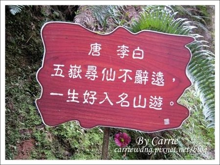 【南投旅遊】杉林溪森林遊樂區 @飛天璇的口袋