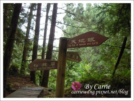 【南投旅遊】杉林溪森林遊樂區 @飛天璇的口袋