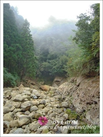 【南投旅遊】杉林溪森林遊樂區 @飛天璇的口袋