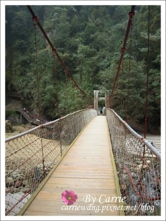 【南投旅遊】杉林溪森林遊樂區 @飛天璇的口袋