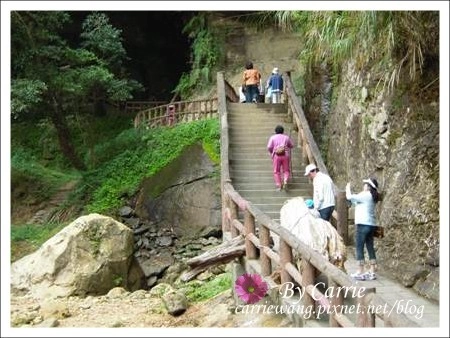 【南投旅遊】杉林溪森林遊樂區 @飛天璇的口袋