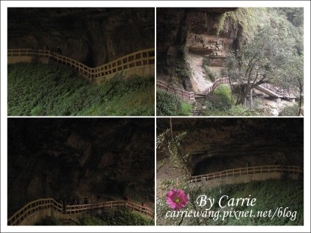 【南投旅遊】杉林溪森林遊樂區 @飛天璇的口袋