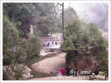 【南投旅遊】杉林溪森林遊樂區 @飛天璇的口袋