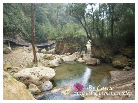 【南投旅遊】杉林溪森林遊樂區 @飛天璇的口袋