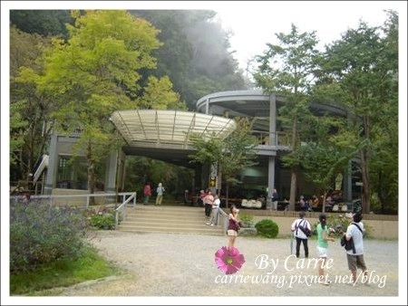 【南投旅遊】杉林溪森林遊樂區 @飛天璇的口袋