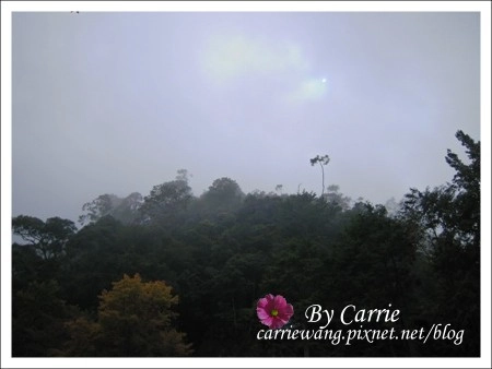 【南投旅遊】杉林溪森林遊樂區 @飛天璇的口袋