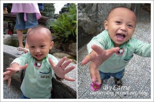 【南投旅遊】杉林溪森林遊樂區 @飛天璇的口袋