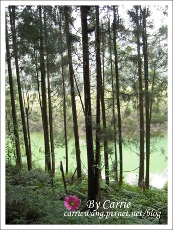 【南投旅遊】杉林溪森林遊樂區 @飛天璇的口袋