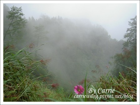 【南投旅遊】杉林溪森林遊樂區 @飛天璇的口袋