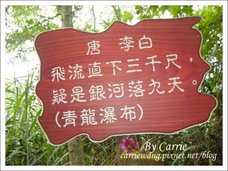 【南投旅遊】杉林溪森林遊樂區 @飛天璇的口袋