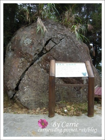 【南投旅遊】杉林溪森林遊樂區 @飛天璇的口袋