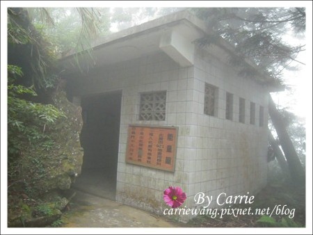 【南投旅遊】杉林溪森林遊樂區 @飛天璇的口袋