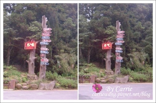 【南投旅遊】杉林溪森林遊樂區 @飛天璇的口袋