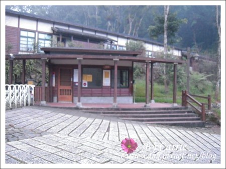 【南投旅遊】全台最美的森林國小．內湖國小 @飛天璇的口袋