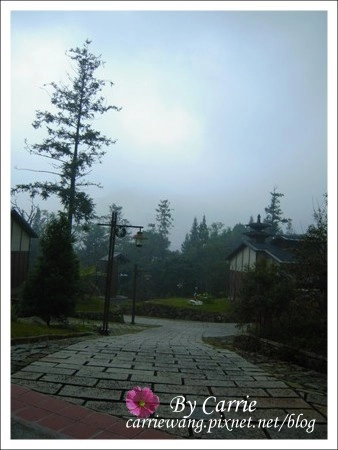 【南投旅遊】全台最美的森林國小．內湖國小 @飛天璇的口袋