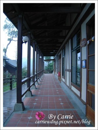 【南投旅遊】全台最美的森林國小．內湖國小 @飛天璇的口袋