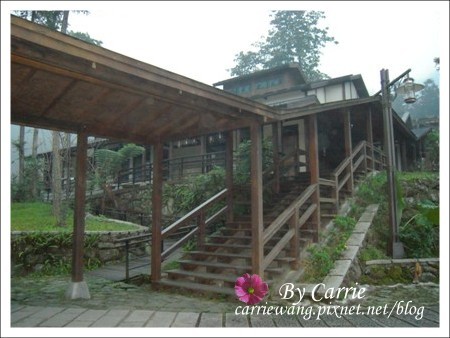 【南投旅遊】全台最美的森林國小．內湖國小 @飛天璇的口袋