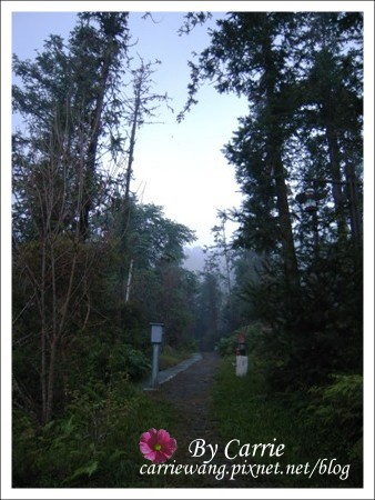 【南投旅遊】全台最美的森林國小．內湖國小 @飛天璇的口袋