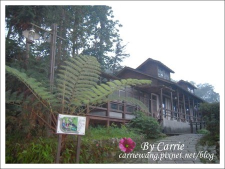 【南投旅遊】全台最美的森林國小．內湖國小 @飛天璇的口袋