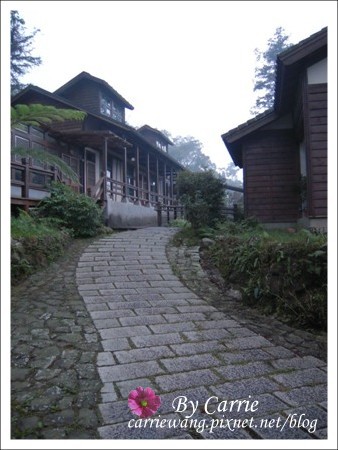 【南投旅遊】全台最美的森林國小．內湖國小 @飛天璇的口袋