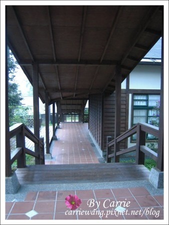 【南投旅遊】全台最美的森林國小．內湖國小 @飛天璇的口袋