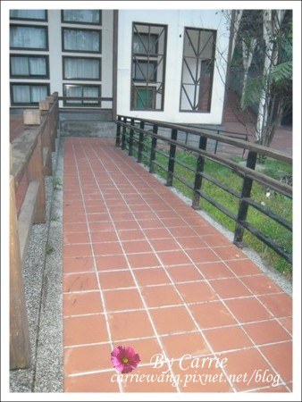 【南投旅遊】全台最美的森林國小．內湖國小 @飛天璇的口袋