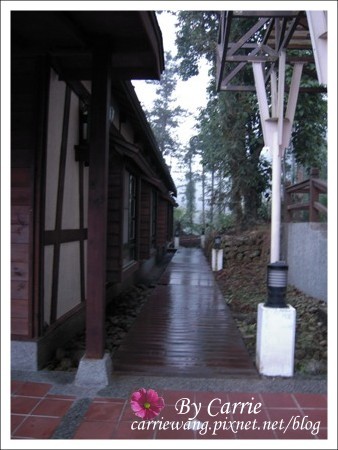 【南投旅遊】全台最美的森林國小．內湖國小 @飛天璇的口袋