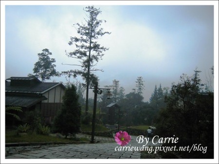 【南投旅遊】全台最美的森林國小．內湖國小 @飛天璇的口袋