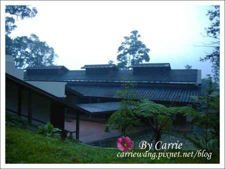 【南投旅遊】全台最美的森林國小．內湖國小 @飛天璇的口袋