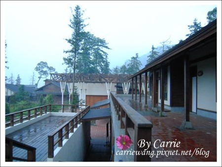 【南投旅遊】全台最美的森林國小．內湖國小 @飛天璇的口袋