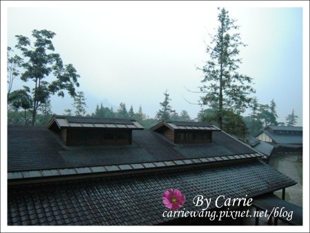 【南投旅遊】全台最美的森林國小．內湖國小 @飛天璇的口袋