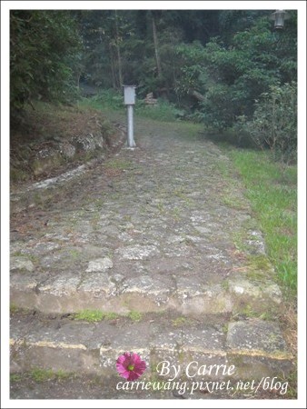 【南投旅遊】全台最美的森林國小．內湖國小 @飛天璇的口袋