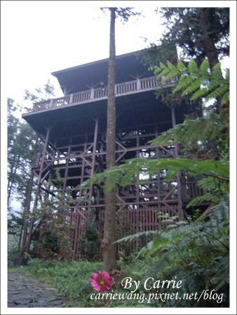 【南投旅遊】全台最美的森林國小．內湖國小 @飛天璇的口袋