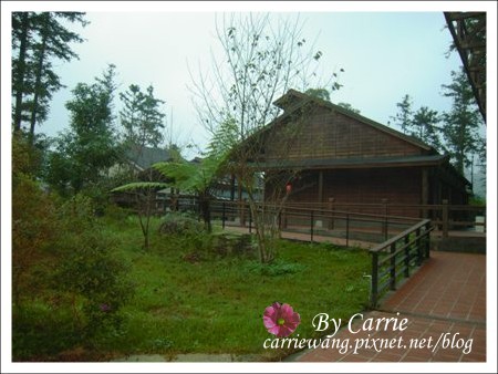 【南投旅遊】全台最美的森林國小．內湖國小 @飛天璇的口袋