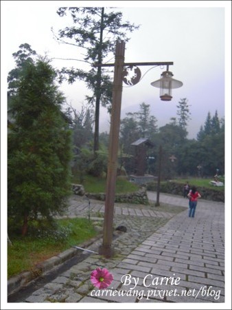 【南投旅遊】全台最美的森林國小．內湖國小 @飛天璇的口袋