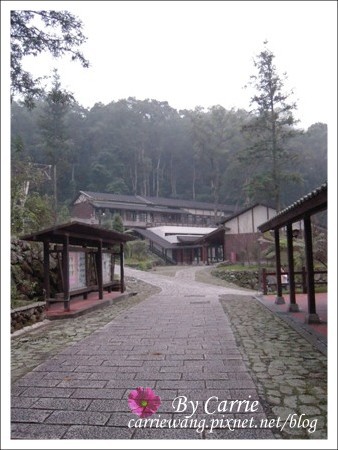 【南投旅遊】全台最美的森林國小．內湖國小 @飛天璇的口袋