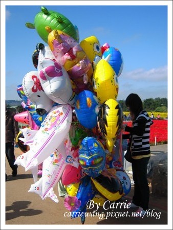 【台中旅遊】98新社花海行 @飛天璇的口袋