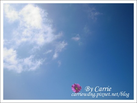 【台中旅遊】98新社花海行 @飛天璇的口袋