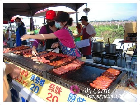 【台中旅遊】98新社花海行 @飛天璇的口袋