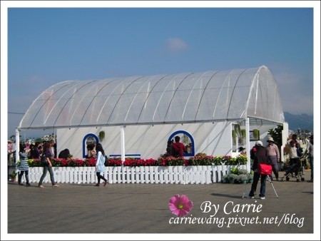 【台中旅遊】98新社花海行 @飛天璇的口袋