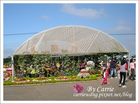 【台中旅遊】98新社花海行 @飛天璇的口袋