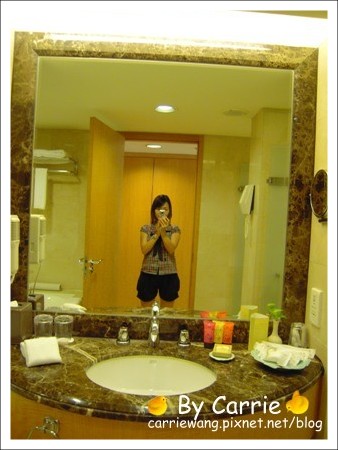 【台中飯店住宿】日華金典酒店．Splendor Hotel Taichung @飛天璇的口袋