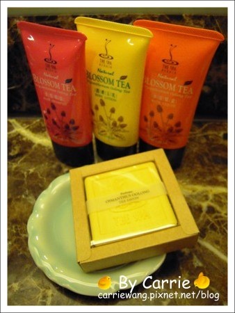 【台中飯店住宿】日華金典酒店．Splendor Hotel Taichung @飛天璇的口袋