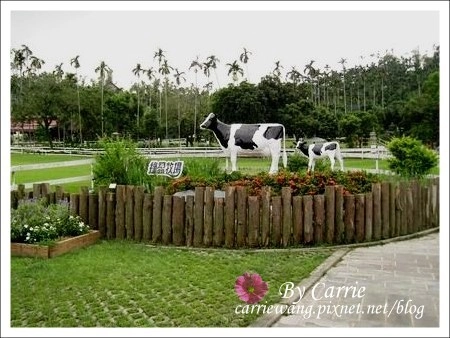 嘉義旅遊｜2024嘉義旅遊景點．嘉義40+景點推薦，嘉義一日遊行程推薦 @飛天璇的口袋