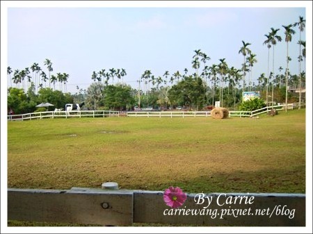 【嘉義旅遊】綠盈牧場 @飛天璇的口袋