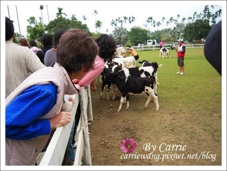 【嘉義旅遊】綠盈牧場 @飛天璇的口袋