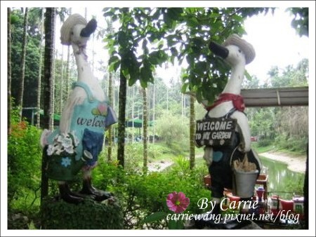 【嘉義旅遊】綠盈牧場 @飛天璇的口袋