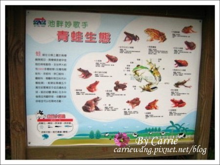 【嘉義旅遊】綠盈牧場 @飛天璇的口袋