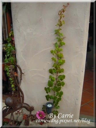 【苗栗旅遊】天空之城．天堂古堡 @飛天璇的口袋